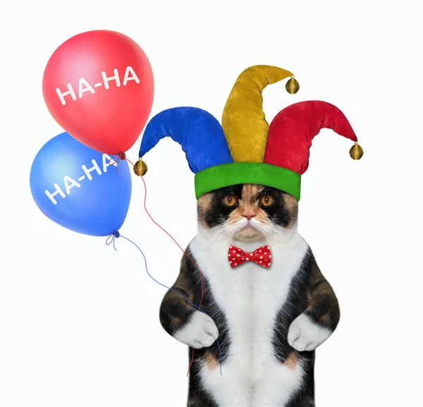 Cat clown with two balloons — Stock Photo, Image