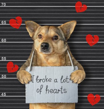 Dog broke a lot of hearts