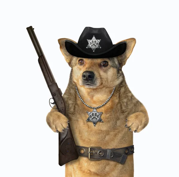 Собачий полицейский в ковбойской шляпе 2 — стоковое фото