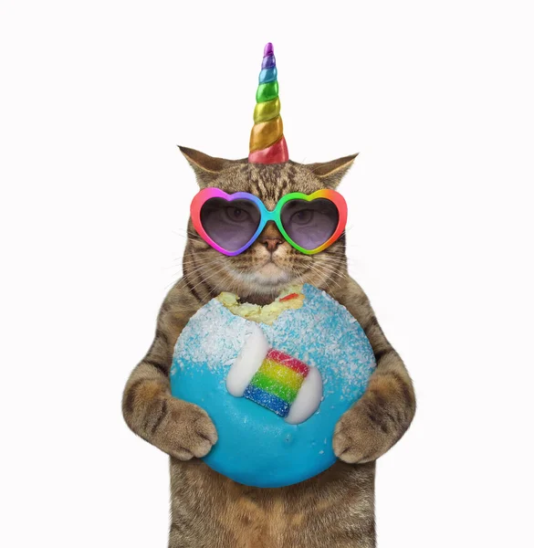 Cat unicorn with blue donut — Stock Photo, Image