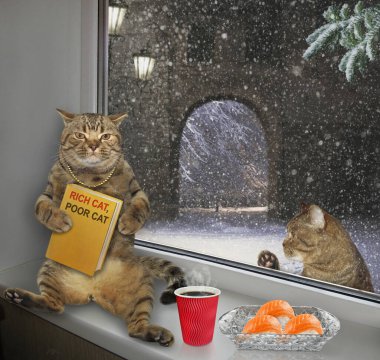 Rich cat and poor cat 2