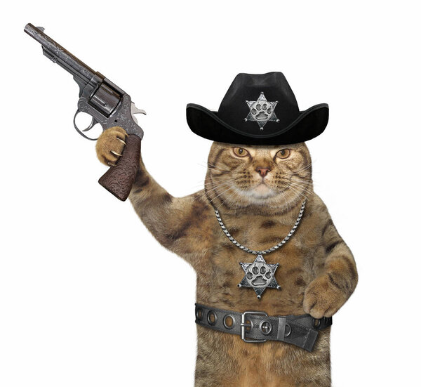 Cat policeman in cowboy hat 2
