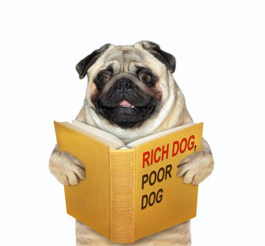 Dog wants to be rich 2