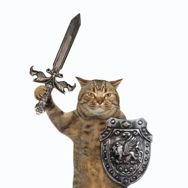 The beige cat viking is armed with a shield with a dragon and an inlaid sword. White background. Isolated.