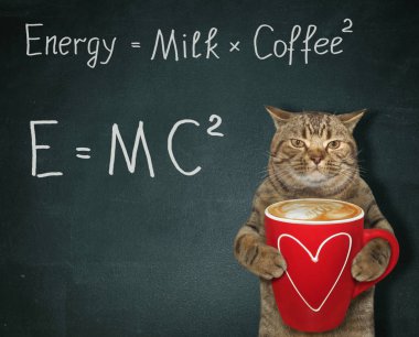 Cat with energy coffee