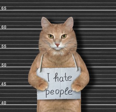 Ginger cat hate people clipart