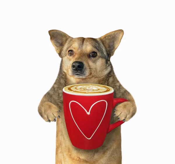 Perro con taza roja de café con leche — Foto de Stock