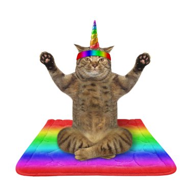 Cat unicorn doing yoga practice