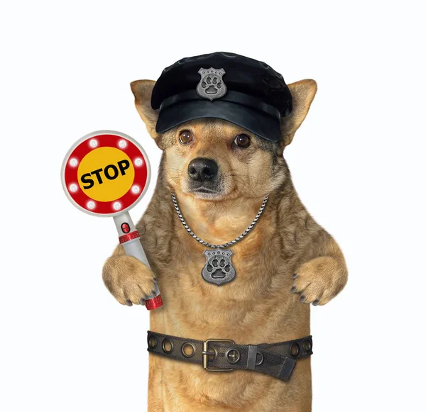 Dog cop holds stop sign 2 — Stok fotoğraf