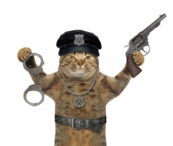 Cat cop with revolver and handcuffs 2 — 图库照片