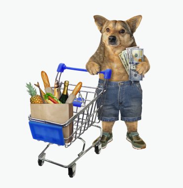 Köpek alışveriş arabası 2.