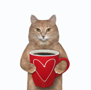 Kırmızı kahve fincanı olan kedi.