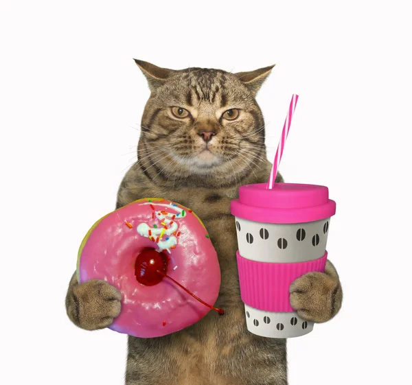 Kot z różową filiżanką kawy 2 — Zdjęcie stockowe