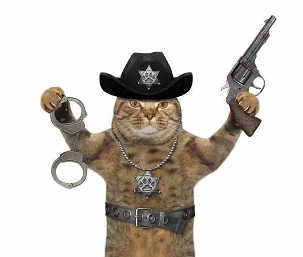 Cat cop with revolver and handcuffs — Stock Photo, Image