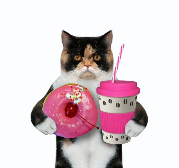 Cat trzyma różową filiżankę kawy — Zdjęcie stockowe