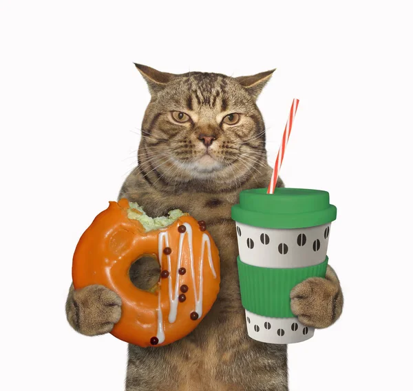 Die Beige Katze Hält Einen Orangefarbenen Donut Und Eine Blaue — Stockfoto