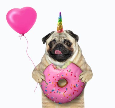 Köpek pug unicorn 'un elinde ısırılmış bir çörek ve pembe bir balon var. Dilini çıkardı. Beyaz arka plan. İzole edilmiş.