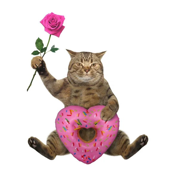 Die Beige Katze Hält Einen Rosafarbenen Herzförmigen Donut Und Eine — Stockfoto