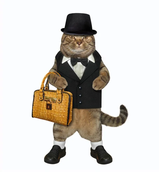 ベージュのファッショナブルな服を着た猫は茶色の革のブリーフケースを持っています 彼は紳士のように見える 白地だ — ストック写真