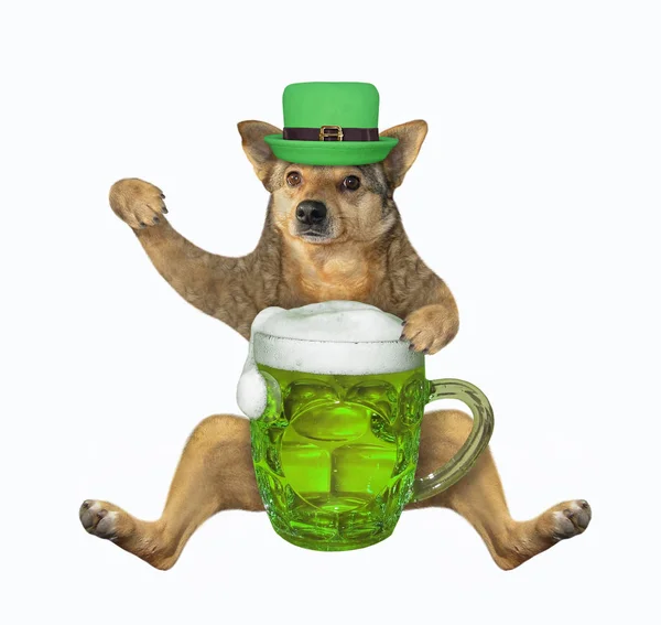 Beige Dog Hat Drinking Green Beer Celebrating Patrick Day White — Stock Photo, Image