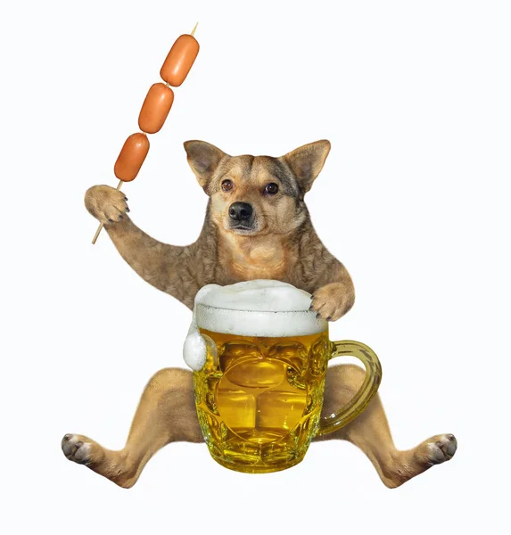 Cão Bege Está Comendo Espeto Salsicha Bebendo Cerveja Uma Caneca — Fotografia de Stock