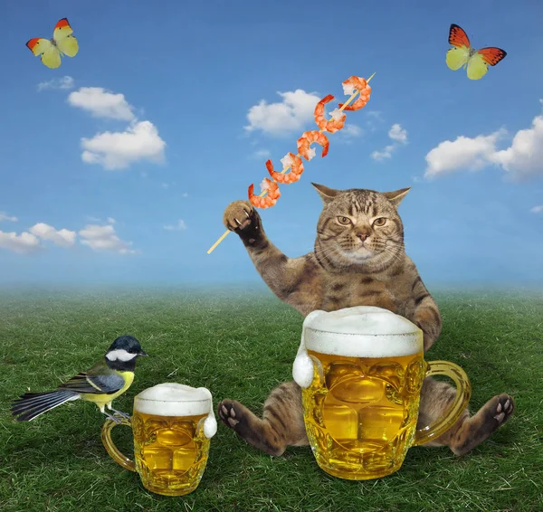 Gato Beige Está Comiendo Pincho Parrilla Camarones Beber Cerveza Una — Foto de Stock