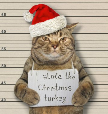 Noel Baba şapkalı bej kedi tutuklandı. Boynunda Noel hindisini çaldığıma dair bir tabela var. Sıralama arkaplanı.