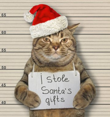 Noel Baba şapkalı bej kedi tutuklandı. Boynunda Noel Baba 'nın hediyelerini çaldığıma dair bir işaret var. Sıralama arkaplanı.