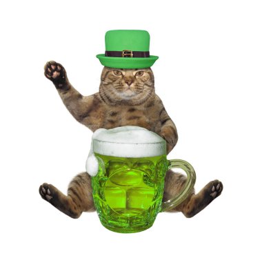 Şapkalı bej kedi yeşil bira içiyor. Aziz Patrick gününü kutluyor. Beyaz arka plan. İzole edilmiş.