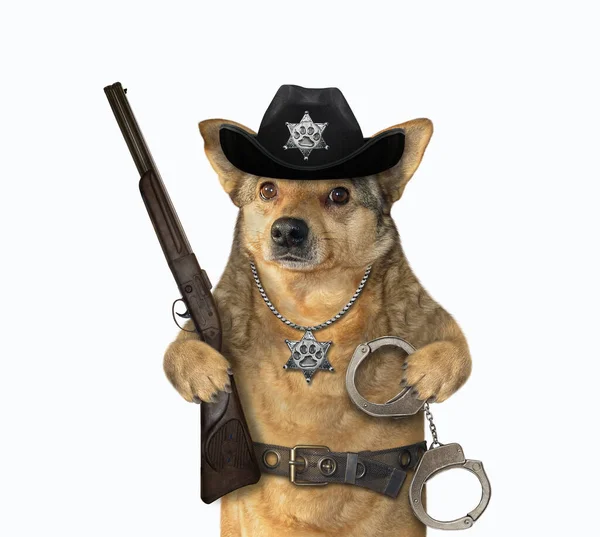 Der Beige Hundepolizist Trägt Einen Schwarzen Cowboyhut Ein Polizeiabzeichen Den — Stockfoto