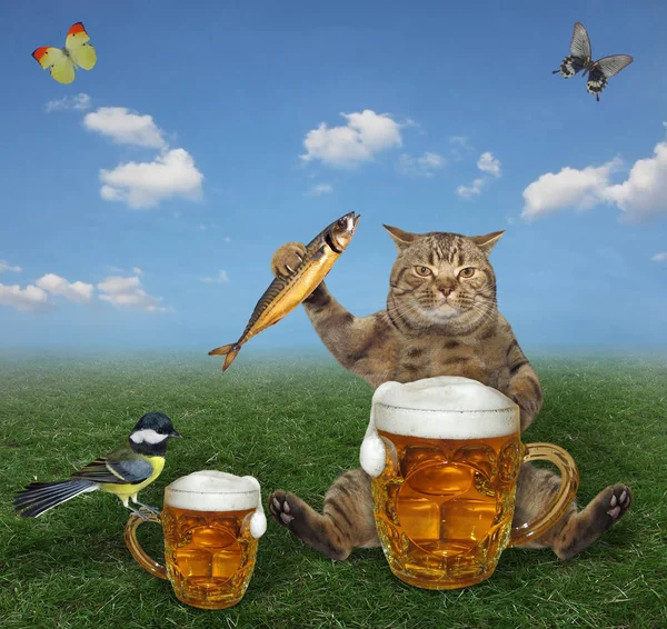 Μπεζ Γάτα Τρώει Ένα Καπνιστό Ψάρι Και Πίνει Μπύρα Από — Φωτογραφία Αρχείου