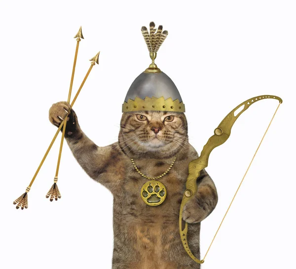Chat Viking Dans Casque Avec Des Cornes Tient Une Epee Image Libre De Droit Par Iridi C Chat Viking Dans Casque Avec Des Cornes Tient Une Epee Image Libre De Droit Par Iridi C