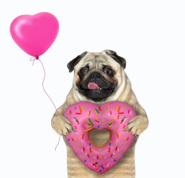 Köpeğin elinde kalp şeklinde bir çörek ve pembe bir balon var. Dilini çıkardı. Beyaz arka plan. İzole edilmiş.