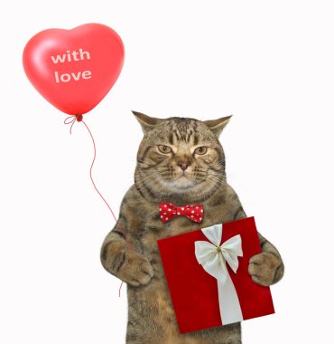 Papyonlu bej bir kedi kalp şeklinde bir balon ve kırmızı bir hediye kutusu tutar. Beyaz arka plan. İzole edilmiş.