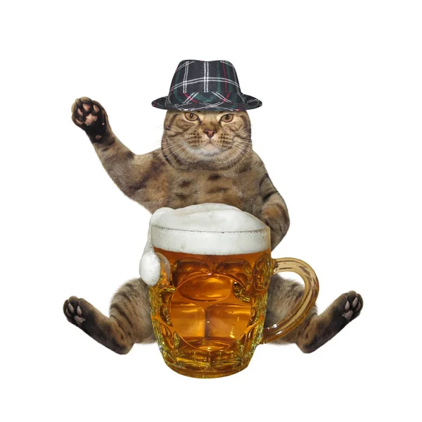 Μπεζ Γάτα Καρό Καπέλο Πίνει Μπύρα Από Μια Κούπα Λευκό — Φωτογραφία Αρχείου