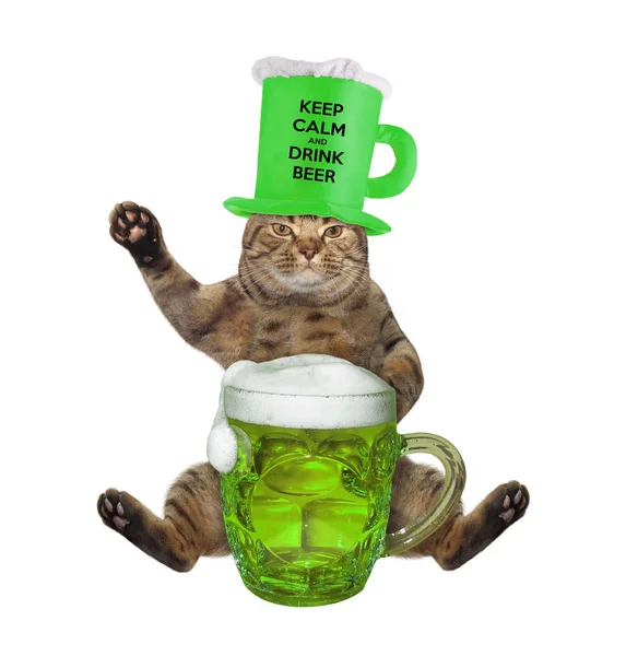 Gato Bege Com Chapéu Forma Caneca Cerveja Está Bebendo Cerveja — Fotografia de Stock