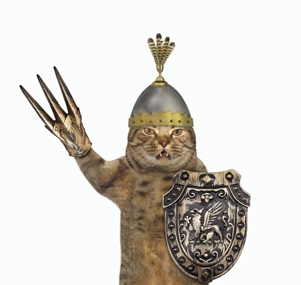Beige Cat Knight Helmet Feathers Armed Shield Dragon Claw Glove — Stock Photo, Image