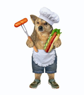 Bej köpek şefi bir sosisli sandviç pişiriyor. Beyaz arka plan. İzole edilmiş.