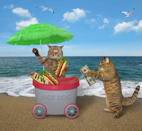 The beige cat is selling hot dogs in the grey mini movable kiosk under a green umbrella on the beach of the sea. White background. Isolated.
