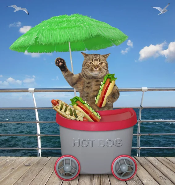 The beige cat is selling hot dogs in the grey mini movable kiosk under a green umbrella on th beach boardwalk.