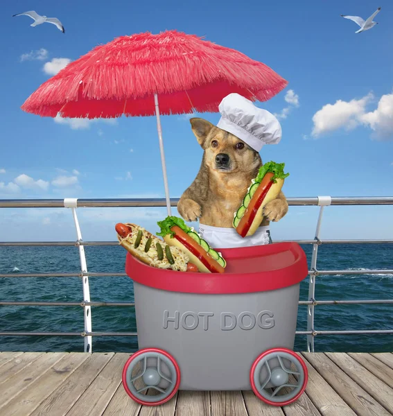 The beige dog is selling hot dogs in the grey mini movable kiosk under a red umbrella on th beach boardwalk.
