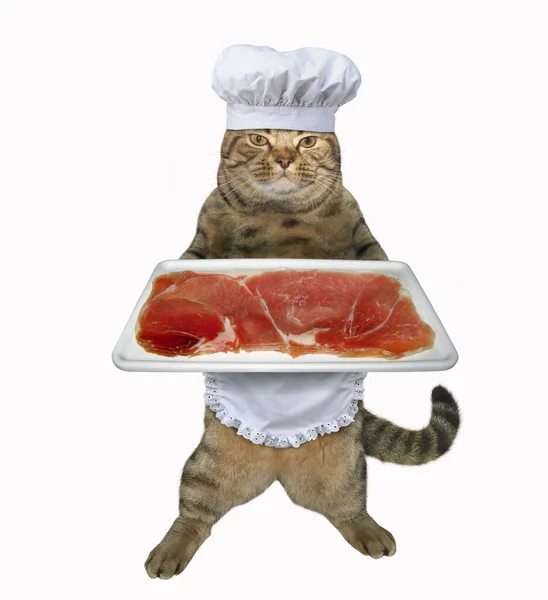Den Beige Katten Kockkläder Håller Fyrkantig Tallrik Med Köttbit Vit — Stockfoto