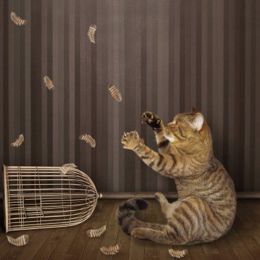 Bej kedi evdeki kafesten bir kuş çıkardı. Etrafında tüyler uçuşuyor..