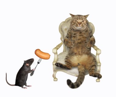 Bej kedi antika ahşap koltukta oturuyor. Siyah sıçan onu çatalla sosis ile besliyor. Beyaz arka plan. İzole edilmiş.