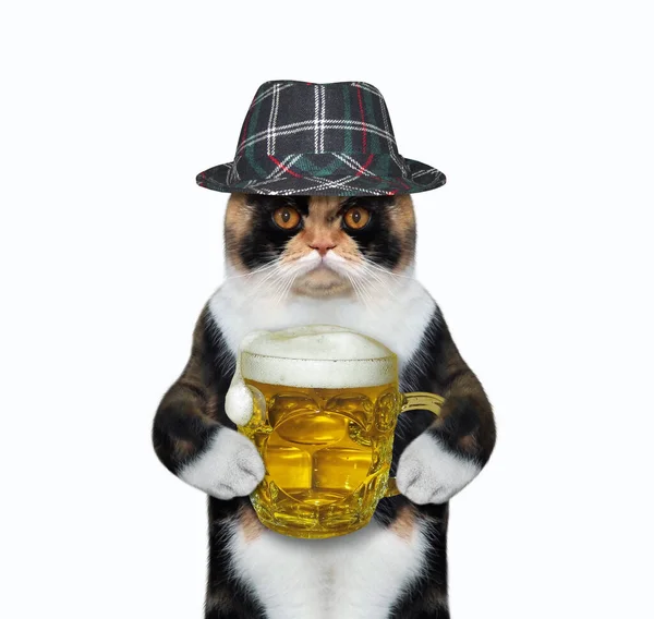 Gato Multi Colorido Chapéu Xadrez Está Bebendo Cerveja Verde Fundo — Fotografia de Stock