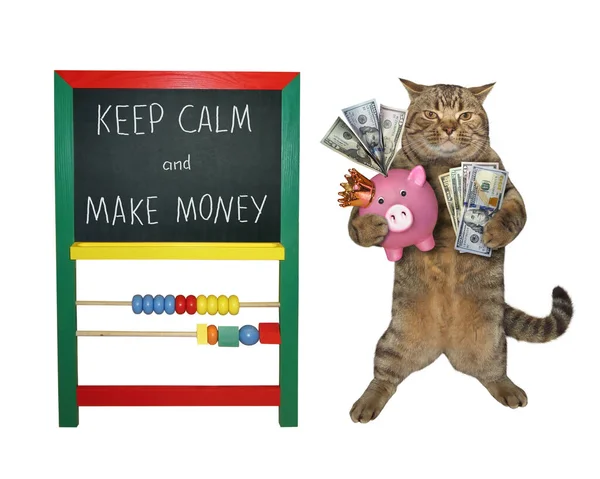 Μπεζ Επιχειρηματίας Γάτα Κρατά Ένα Ανεμιστήρα Των Δολαρίων Και Ένα — Φωτογραφία Αρχείου
