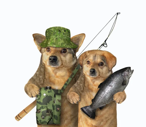 Две Собаки Рыбаки Один Держит Пойманную Рыбу Другой Мешком Рыбалки — стоковое фото