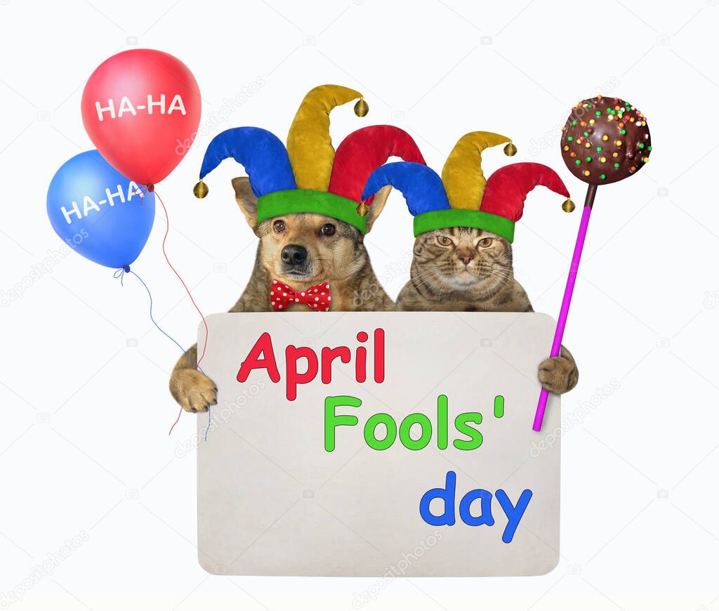 The dog and the cat in jester hats are holding multi-colored balloons, a chocolate cake pop and a paper sign with inscription april fools day.