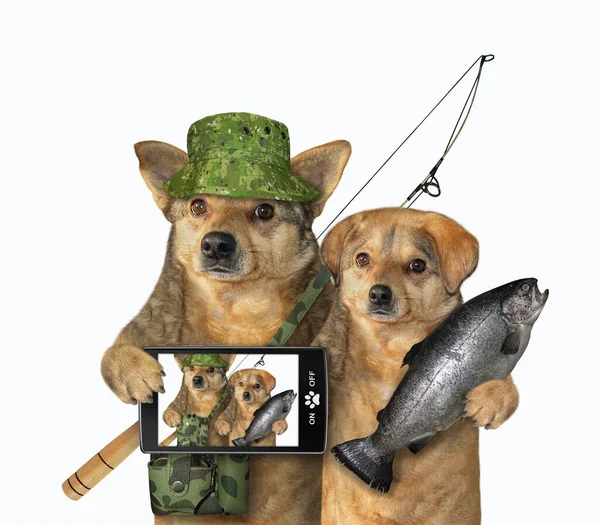 Two Dogs Fishers One Them Holds Caught Fish Other Fishing — Stock Photo, Image