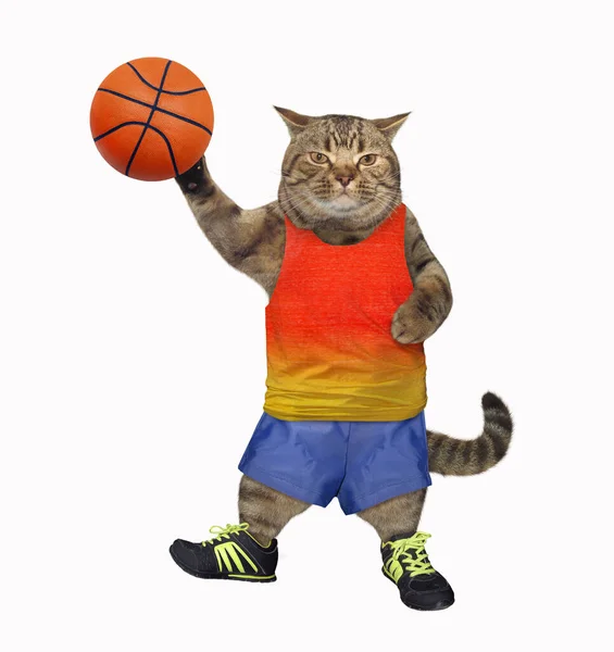 Gato jogando basquete ilustração